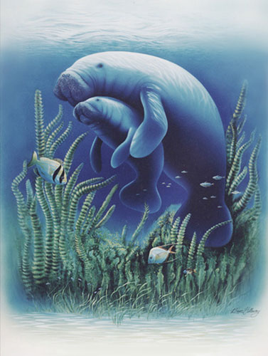 Manatee Painting